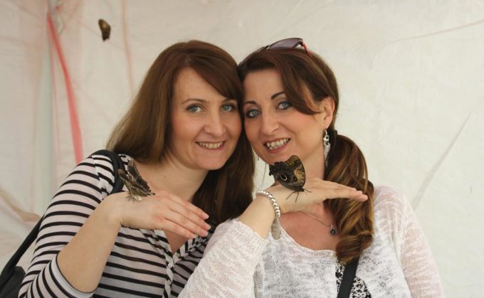 turista nella mia città