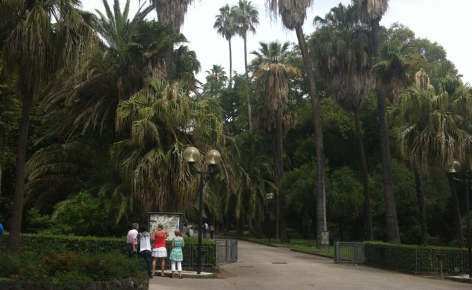 turista nella mia città