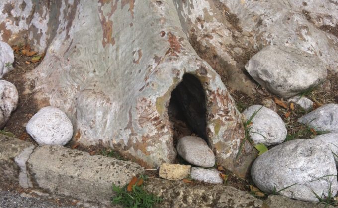 turista nella mia città