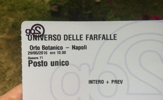 turista nella mia città