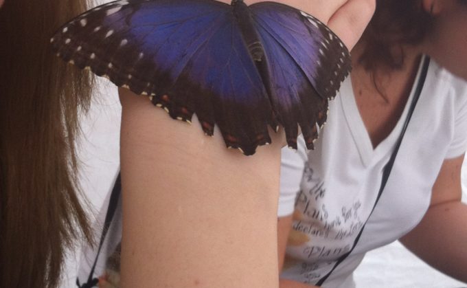 turista nella mia città