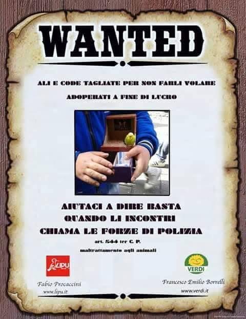 wanted campagna antiviolenza su animali