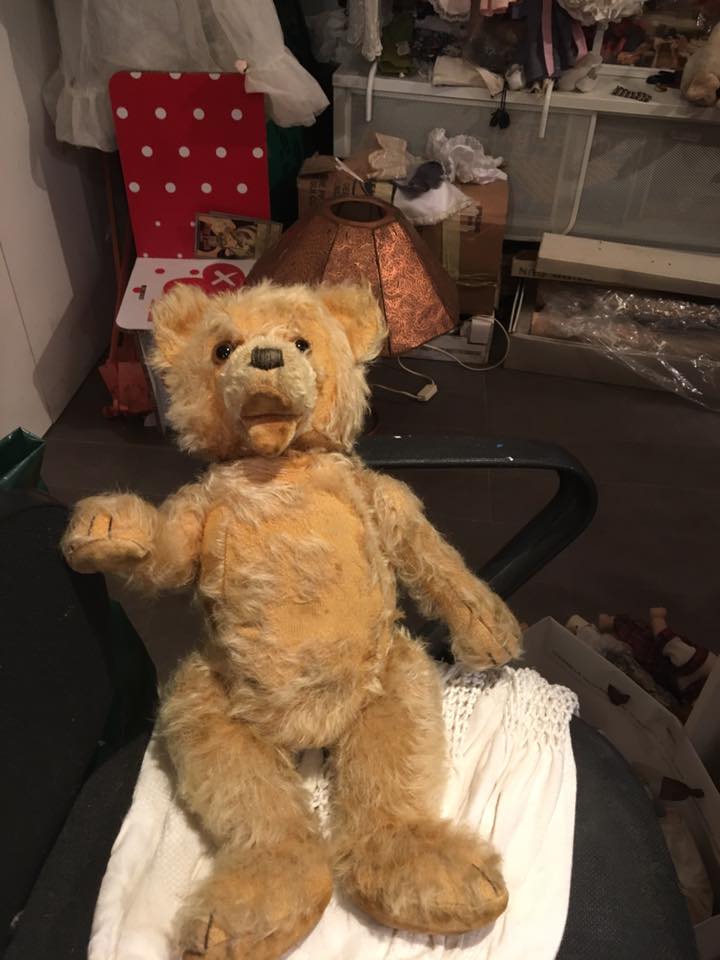 ospedale delle bambole tiziana grassi