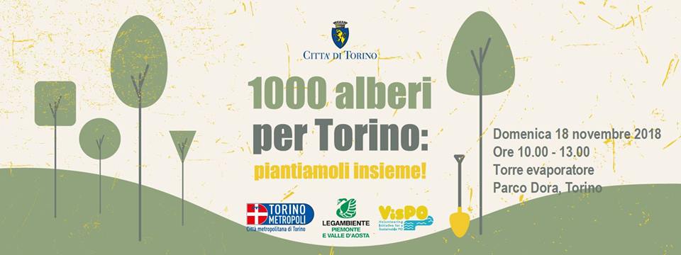 Natale 1000 alberi per torino