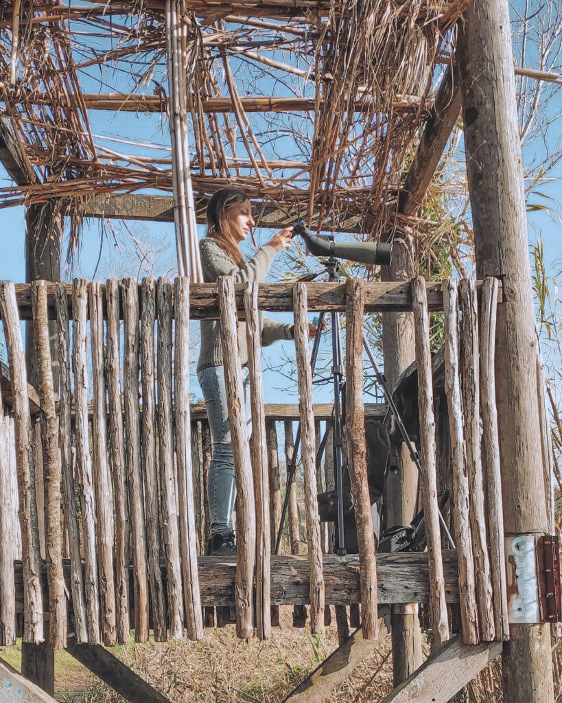 Alessandra Gallo Birdwatching Sud 