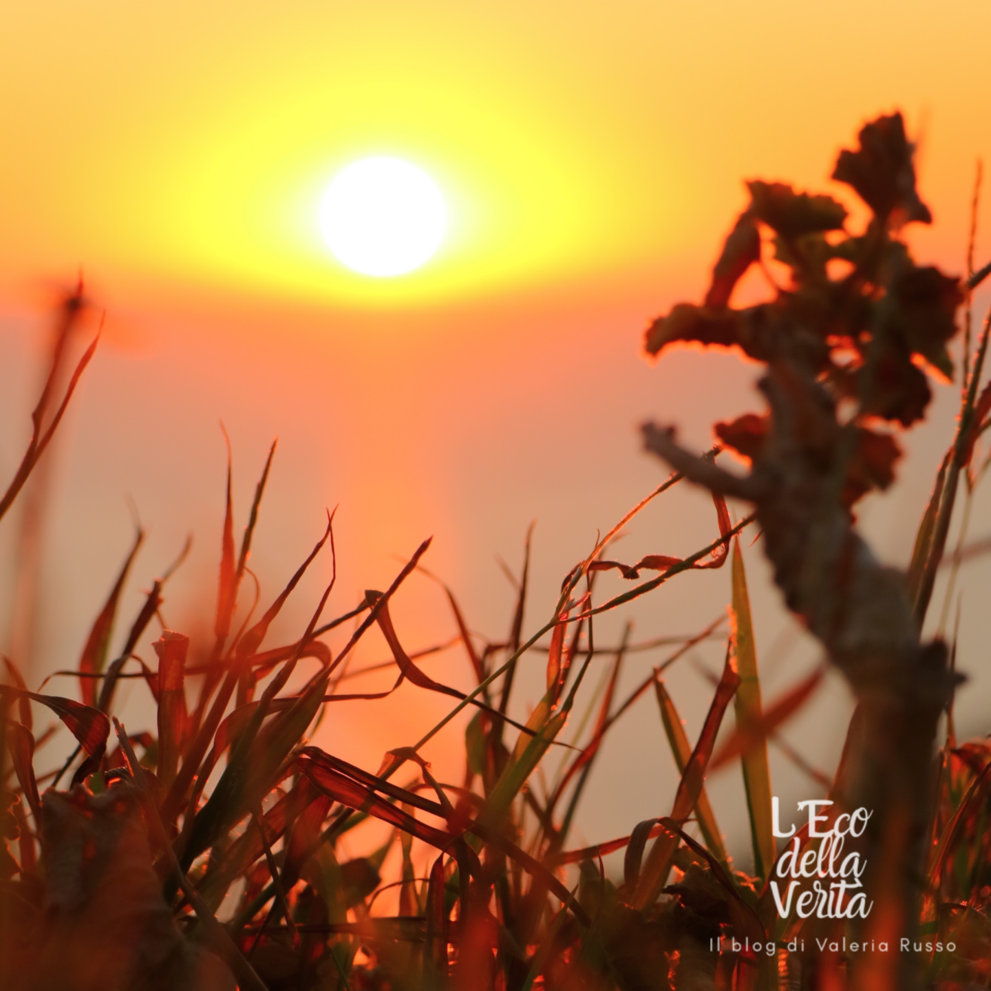 tramonto 